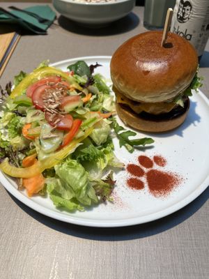 Cheezburger  at Katzentempel Berlin Mitte in Berlin