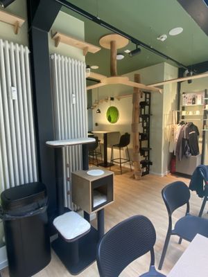   at Katzentempel Berlin Mitte in Berlin