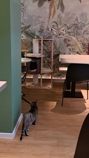  at Katzentempel Berlin Mitte in Berlin