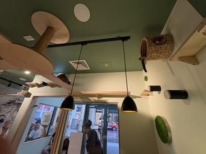   at Katzentempel Berlin Mitte in Berlin