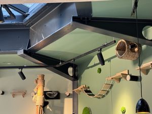 Catwalk.  at Katzentempel Berlin Mitte in Berlin