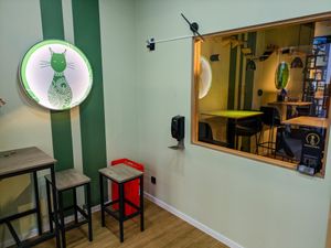 Entryway to Katzentempel Berlin Mitte at Katzentempel Berlin Mitte in Berlin