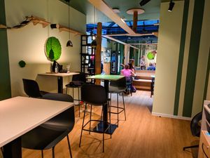 Inside of Katzentempel Berlin Mitte at Katzentempel Berlin Mitte in Berlin