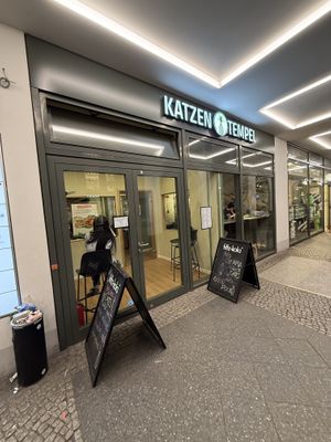 front  at Katzentempel Berlin Mitte in Berlin