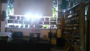 . at 9 Warung in Ubud