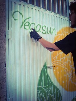 Our door at Vegasun in Toledo