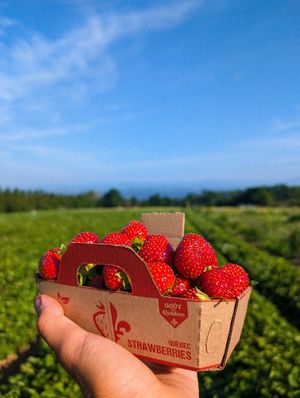  at FERME À CIEL OUVERT in Saint-vallier