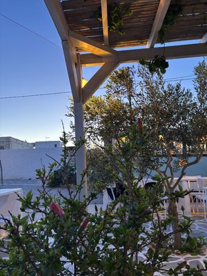 Outside seating   at To Zimaraki in Folegandros