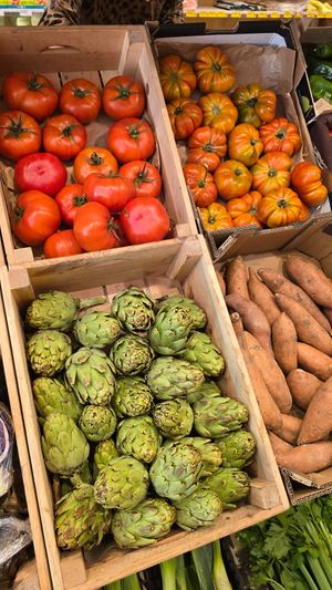 Artichokes at BIOKOR in Solsona