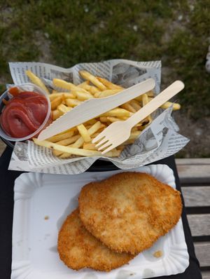 Schnitzel with fries at Vegan World Food Truck  in Bad Voslau