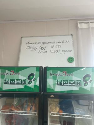 Frozen buuz and dumplings are sold. at Loving Hut - Bayanchandmani  in Bayanchandmani