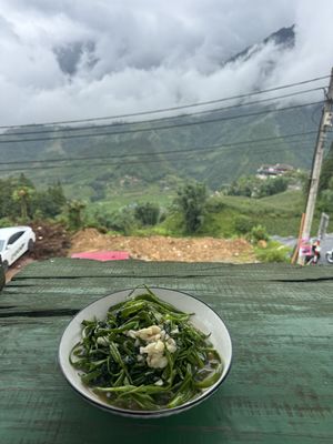 Stir fried veg  at Sapa Vegan Restaurant in Sapa