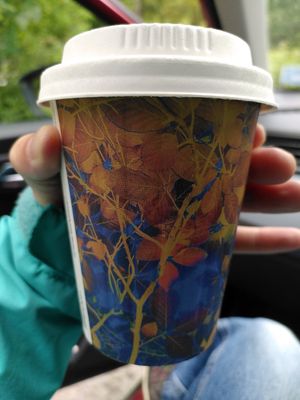 Decaf coffee - pretty cup (May 2025) at Conti's Llanerchaeron Tea Room in Lampeter