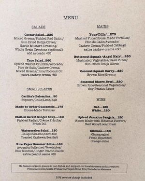 Menu for salad, entrees, main dishes at Buddha's Garden in San Juan Del Sur