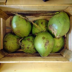 fresh local coconuts at Green Goddess Feel Good Market in San Jose Del Cabo