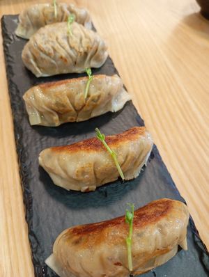 Handmade gyoza at ikinokoru - Plant-based Japanese Cuisine in Batam