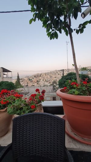  at Books@cafe in Amman