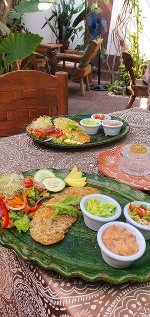 Milanesas de trigo con guacamole at Ganesha Restaurante Vegetariano in Cuautla