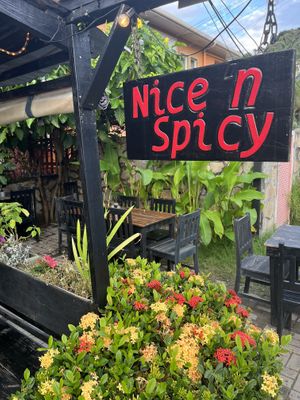   at Nice 'n Spicy in Roatan