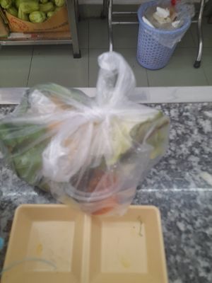 My take away packaging at Bánh mì chay Khai Tâm in Ho Chi Minh City