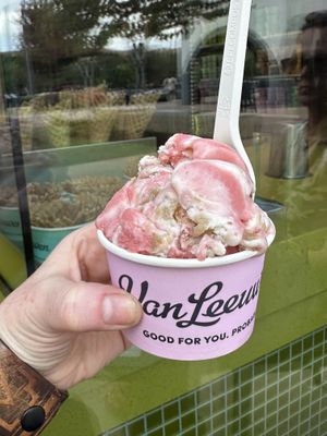 Strawberry Shortcake was amazing!   at Van Leeuwen Ice Cream - Walnut Hill Ln in Dallas