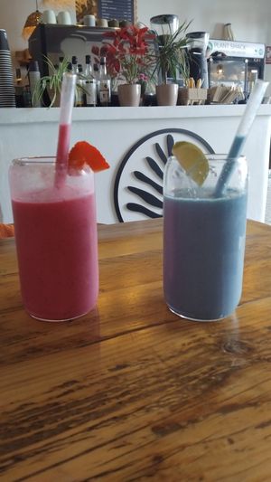  at Plant Shack in Denia