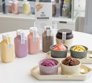 Vegan Soy Gelato and Yogurt at Dugong Ehwa  in Seoul
