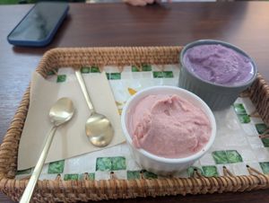 Strawberry and blueberry gelato at Dugong Ehwa  in Seoul