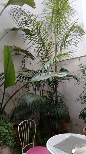 Courtyard at Ca'n Llimona in Mallorca