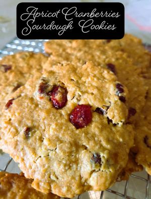 Hearty sourdough cookies infused with the natural goodness of apricot and cranberries, giving each bite a sweet and tangy punch. at Botanic Bake in North Singapore