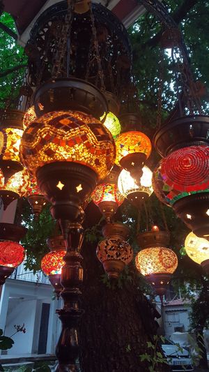 Lights hanging in tree. at Mozaik Bahce in Fethiye