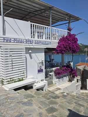 Great friendly restaurant, with vegan options and an awesome view. at The Final Step in Skiathos