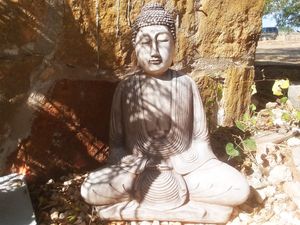  at Seed of Life - Texas in Johnson City