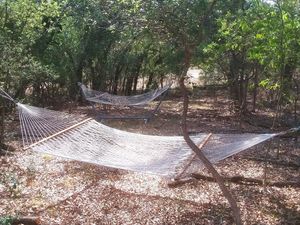  at Seed of Life - Texas in Johnson City