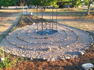  at Seed of Life - Texas in Johnson City