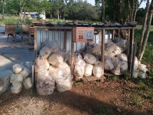 Mushroom blocks at Seed of Life - Texas in Johnson City