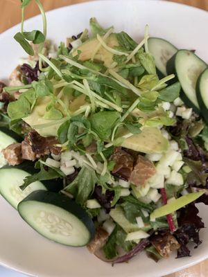 Seedz salad with tempeh  at Seedz Cafe in St Louis