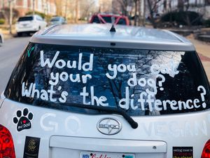 Car in front of Seedz ❤️ at Seedz Cafe in St Louis
