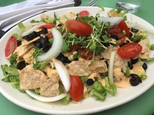 Taco salad at Seedz Cafe in St Louis