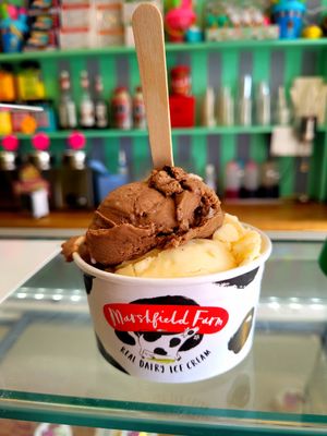 Plant-Based Chocolate and Plant-Based Vanilla Tub. at Chaplin's Ice Cream & Coffee Bar  in Rhosneigr