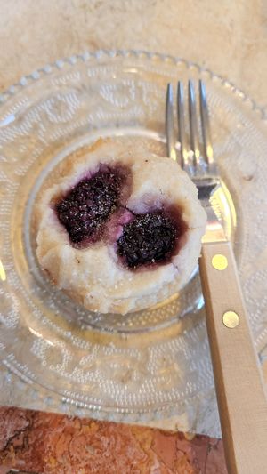  at Kitten Company in Kyoto