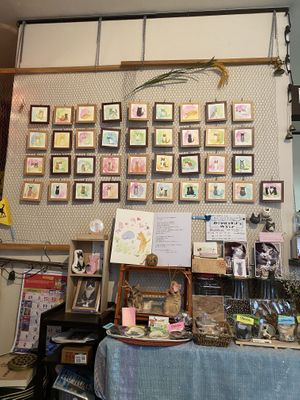 Cute cats!  at Kitten Company in Kyoto