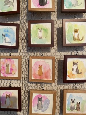 Hehehe  at Kitten Company in Kyoto