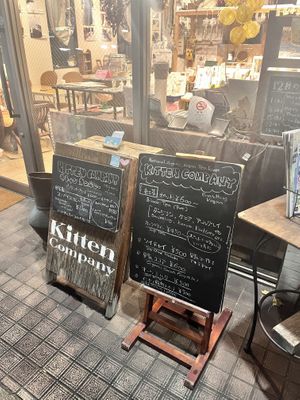   at Kitten Company in Kyoto
