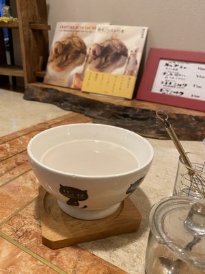   at Kitten Company in Kyoto