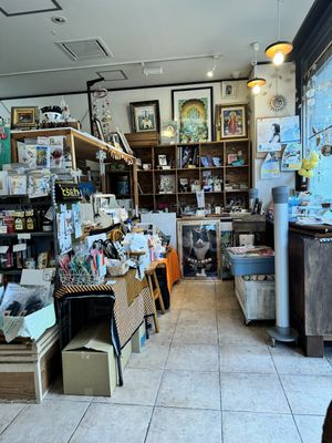   at Kitten Company in Kyoto