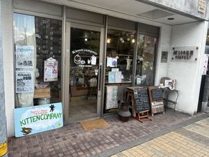   at Kitten Company in Kyoto
