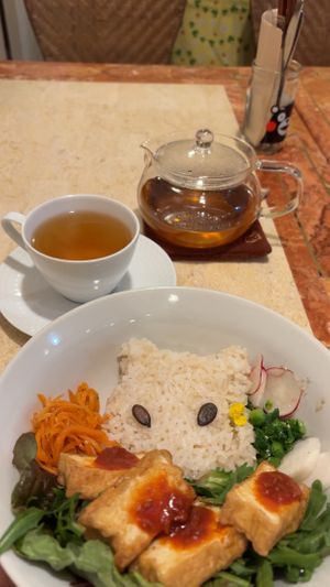   at Kitten Company in Kyoto