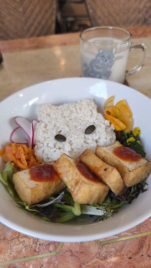  at Kitten Company in Kyoto