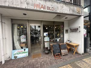   at Kitten Company in Kyoto